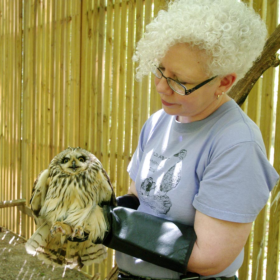 Robyn Graboski holding short-eared owl