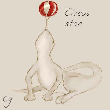 Circus star