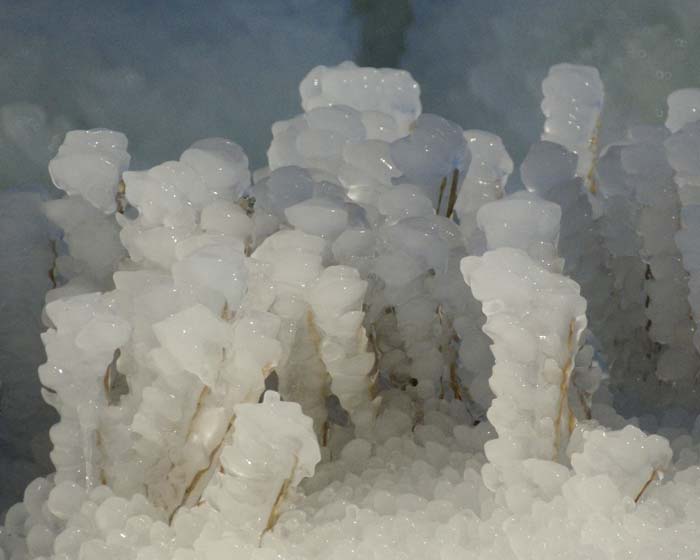 Ice columns (or people)