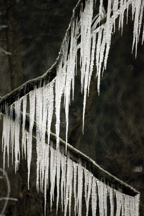 Double-strand icicles