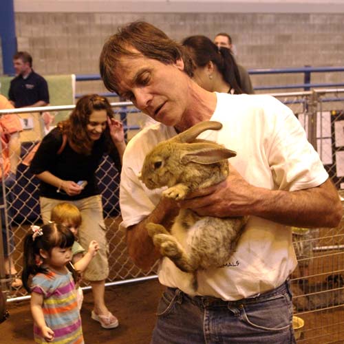 Joe Lovinelly and Giant Rabbit petting